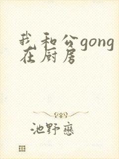 我和公gong在厨房