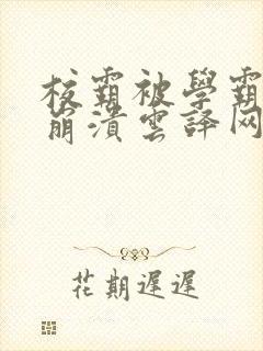 校霸被学霸玩到崩溃云译网