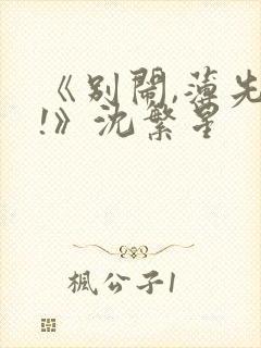 《别闹,薄先生!》沈繁星