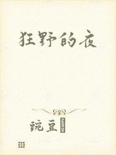 狂野的夜