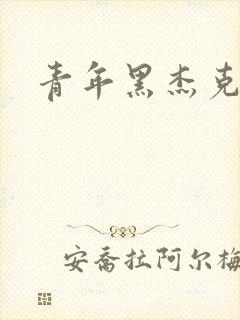 《青年黑杰克》小说封面