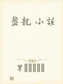 盘龙 小说