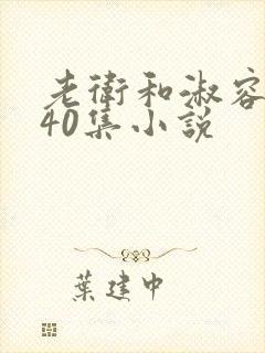 老卫和淑容1-40集小说