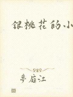 银桃花的小说