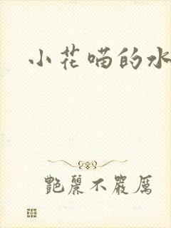小花喵的水蜜桃封面