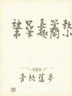 被兄长管教的弟弟笔趣阁小说封面