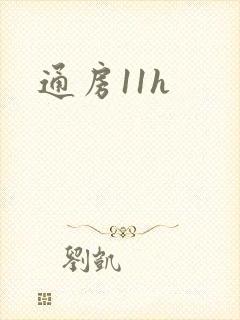 通房11h