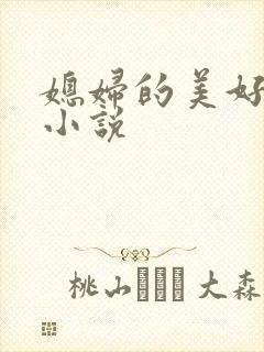 媳妇的美好时代小说