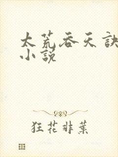 太荒吞天诀免费小说