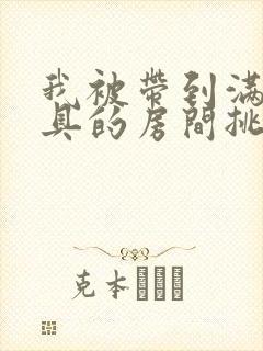 我被带到满是玩具的房间挑调作文