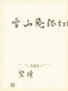 雪山飞狐txt