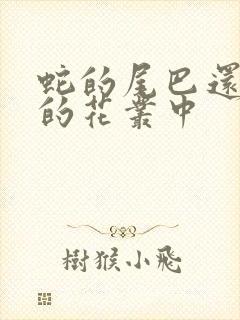 蛇的尾巴还在我的花丛中