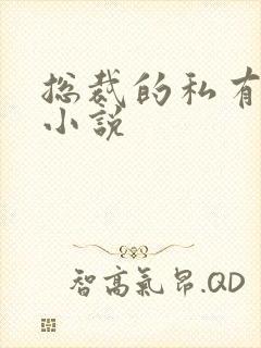 总裁的私有宝贝小说