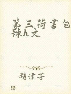 第三荷书包网高辣h文