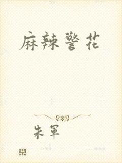 麻辣警花