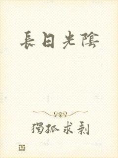 长日光阴