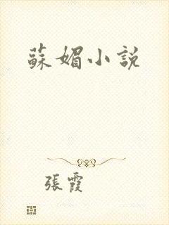 苏媚小说