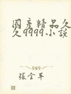 国产精品久久久久9999小说封面