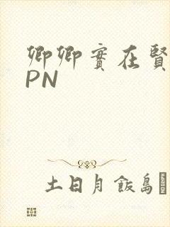 卿卿实在贤良NPN