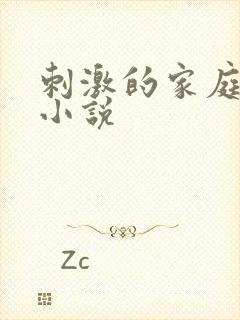 刺激的家庭乱仑小说