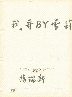 《我哥BY雪莉》小说封面