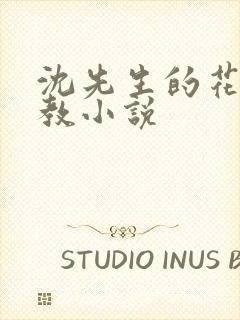 沈先生的花式管教小说