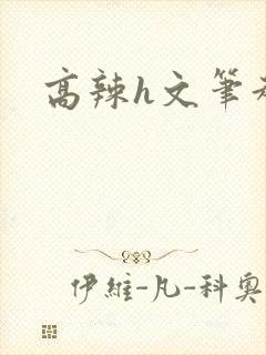 高辣h文笔趣阁