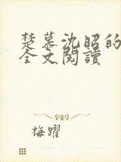 楚慕沈昭的小说全文阅读