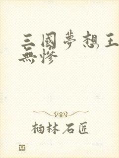 三国梦想王元姬无惨