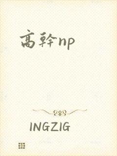 高干np