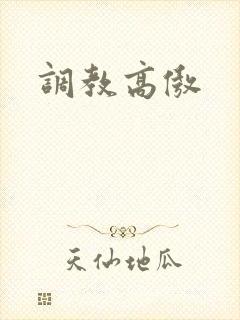 调教高傲
