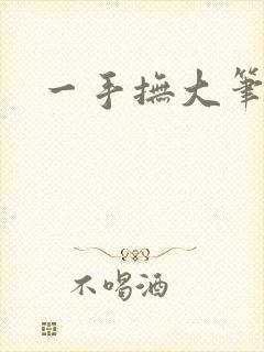 一手抚大笔趣阁