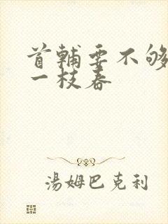 《首辅要不够po一枝春》小说封面