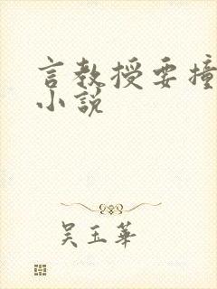 言教授要撞坏了小说