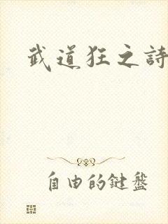 武道狂之诗