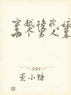 穿越后我嫁给了两个男人暮色酒歌