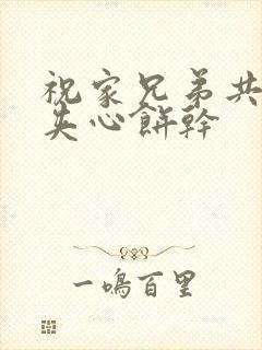 祝家兄弟共享后夹心饼干