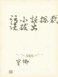 污小说总裁整夜没拔出