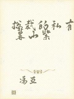 总裁的私有宝贝 暮山紫