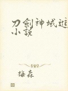 刀剑神域进击篇小说