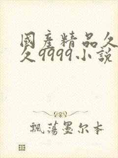 国产精品久久久久9999小说封面