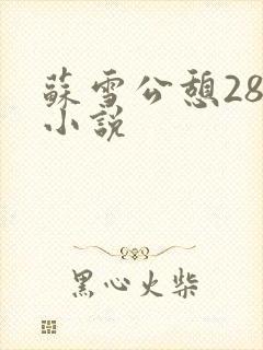 苏雪公憩28篇小说