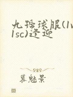 九号球服(1v1sc)逢迎