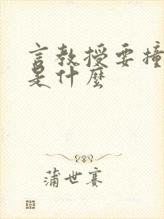 言教授要撞坏了是什么