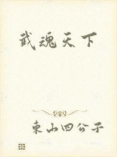 武魂天下