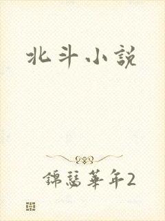 北斗小说
