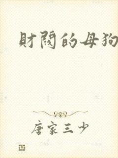 财阀的母狗们
