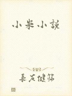 小米小说