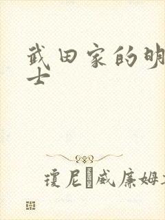 武田家的明国武士