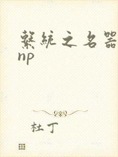 系统之名器攻略np